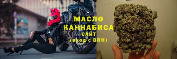 дмт Алексин