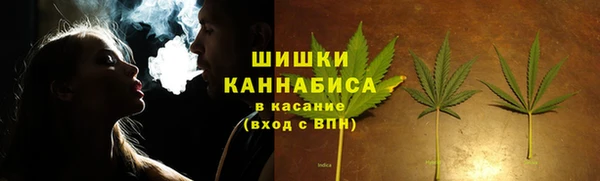 шишки Медногорск
