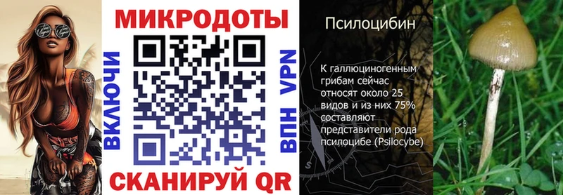 Галлюциногенные грибы Cubensis хочу Сусуман